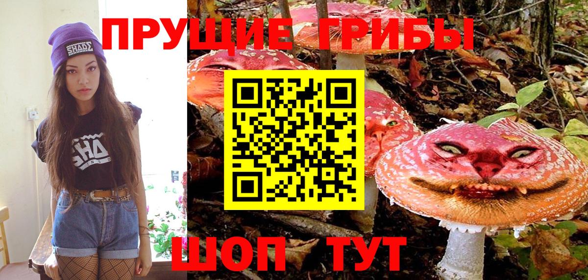 Галлюциногенные грибы мухоморы  Вход с VPN  где продают наркотики  Нерюнгри 